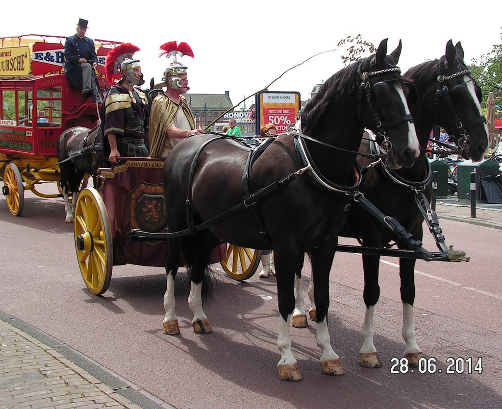 28-06-2014 Leiden - 3in1 - Paard+Koets-Dragonbootraces-Draaiorgels  28062014leidenlakenfeest3in1%2815%29