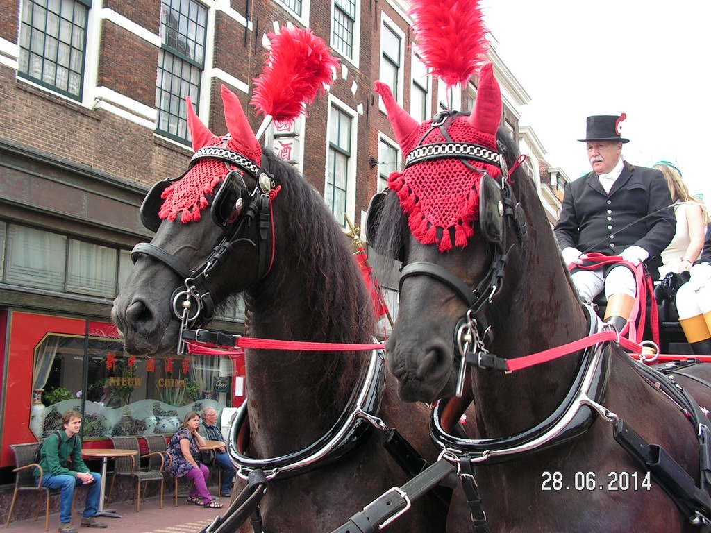 28-06-2014 Leiden - 3in1 - Paard+Koets-Dragonbootraces-Draaiorgels  28062014leidenlakenfeest3in1%2821%29