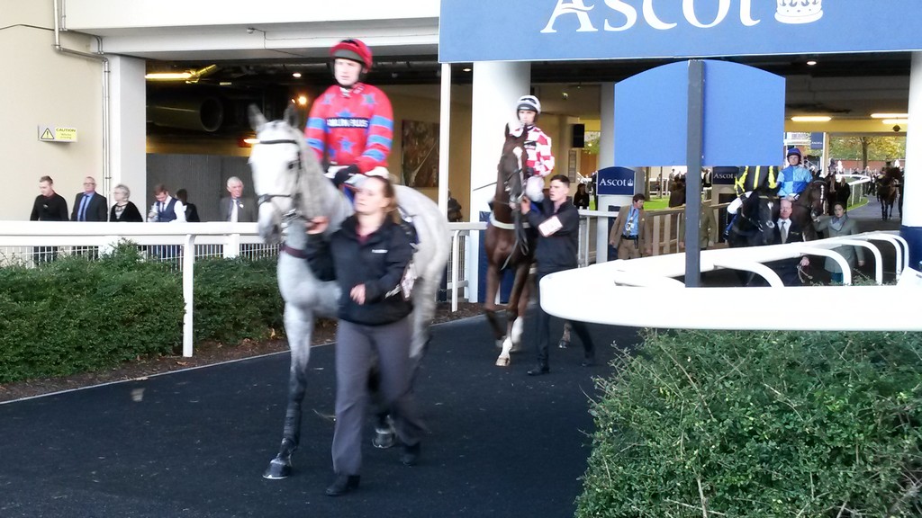 01-11-2014 AscotRaceCourse (UK) - GoldCupRace 141101ascotgoldrace%284%29