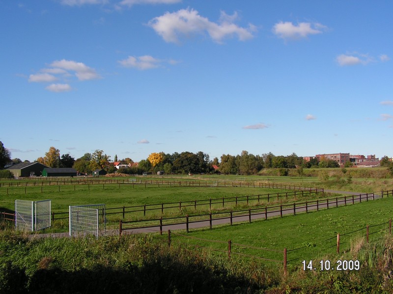 14-10-2009_StadskanaalVeendam StarDieselrit (herstelbestand) STAR14102009%20%28126%29