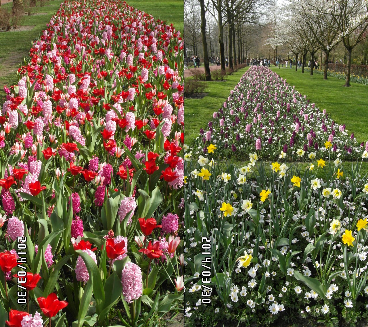 29.30-03-2014 Lisse - Keukenhof - Weekend van Hollandse Muziek 140329.30keukenhofdeel2%20%2812%29