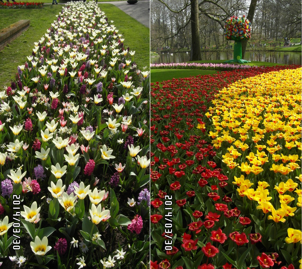 29.30-03-2014 Lisse - Keukenhof - Weekend van Hollandse Muziek 140329.30keukenhofdeel2%20%2815%29