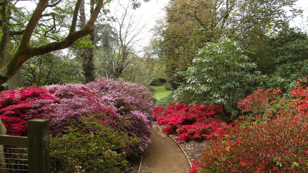 25-04-2015 Engeland - Windor Great park - The valley gardens (114)