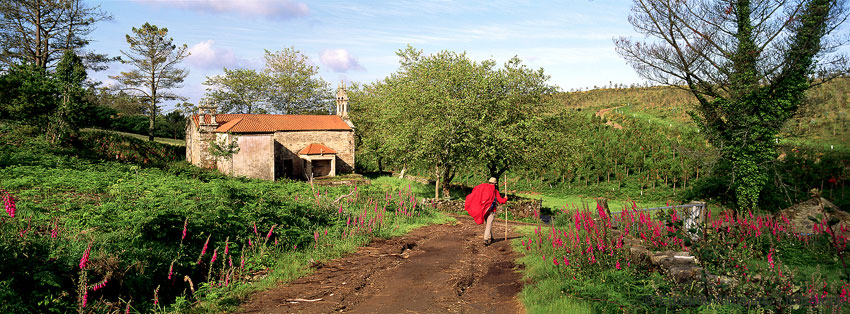 LECTURA RECOMENDADA: UN PARKINSONIANO EN EL CAMINO DE SANTIAGO CaminoSantiagoPortada