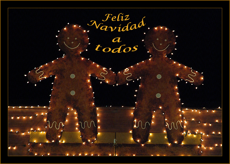 FELIZ NAVIDAD  11216077