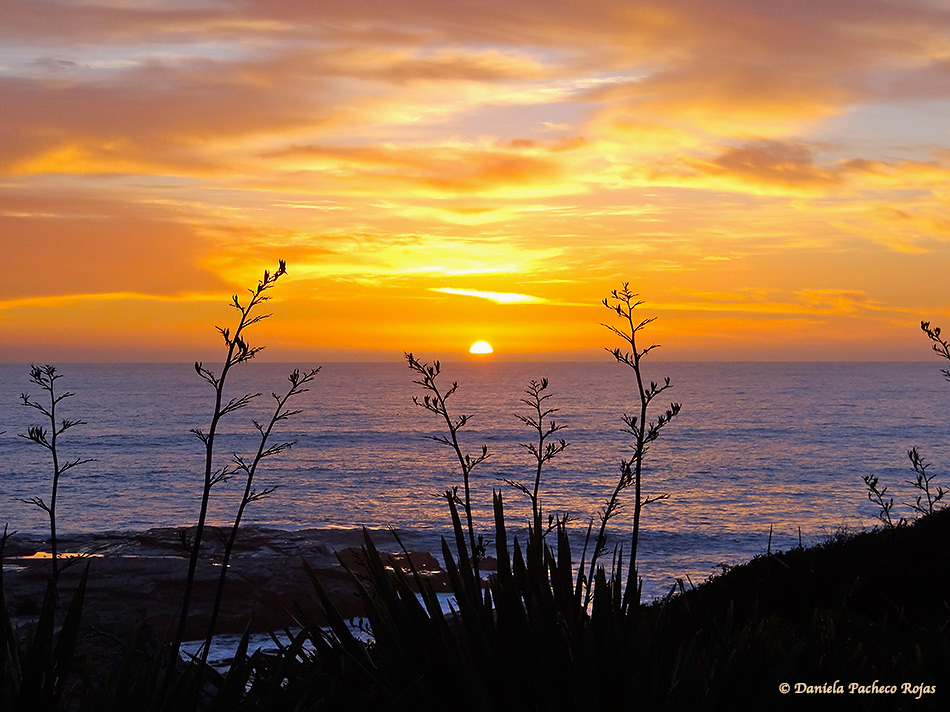 >>> Atardeceres... Puestas de SOL <<< - Página 28 DSC06071_2_2