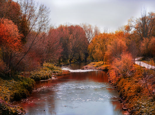 FELIZ OTOÑO PARA TODOS OtonoManzanares