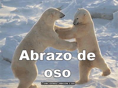 juego de navegador de estrategia - Página 2 Abrazo-polar