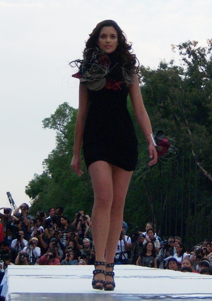 Miss Mexico Universe & World 2010 @ IDM Fashion Week 2010 !! 4768e9d6b618f5c70fc61ef67191e760_e99