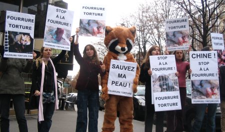 Banque de photos sur les militants français pour la cause animale Manifestation-chine-6-20051018