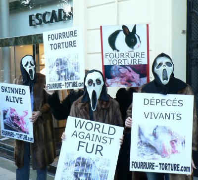 Banque de photos sur les militants français pour la cause animale Nice20071103r