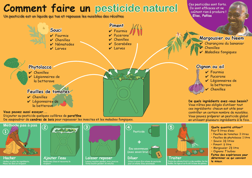 Affiches pour les paysans  Pesticide-french