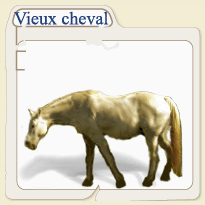 [12 ani] Vieux cheval fatigué 18