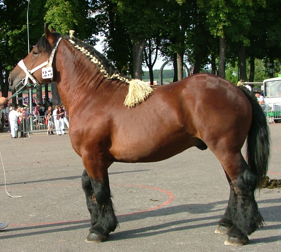 Auxois Auxois