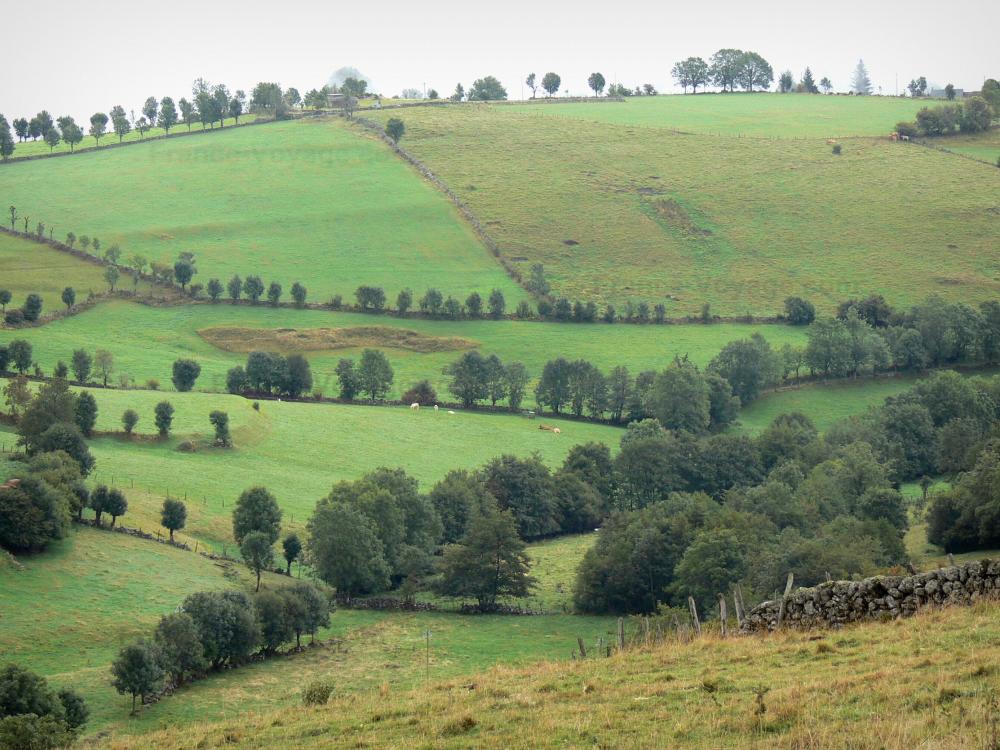 Territoires pour les setters DEL ROC TRAUCAT - Page 13 Aubrac-aveyronnais-25185_w1000