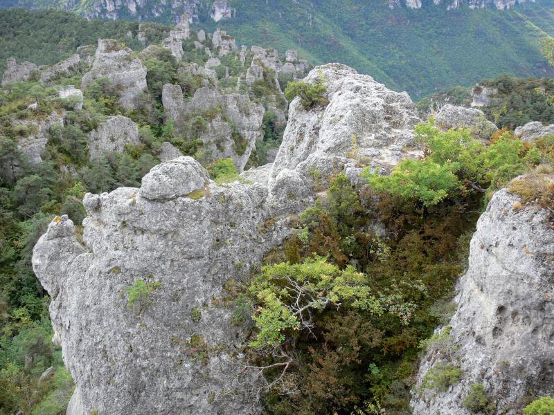 Territoires pour les setters DEL ROC TRAUCAT - Page 13 Paysages-aveyron-25274_w800