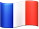 PRESIDENTIELLES 2017. Flag