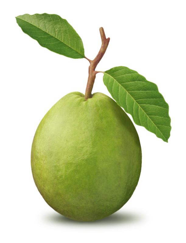أسماء بعض الفواكه بالانجليزي  Guava