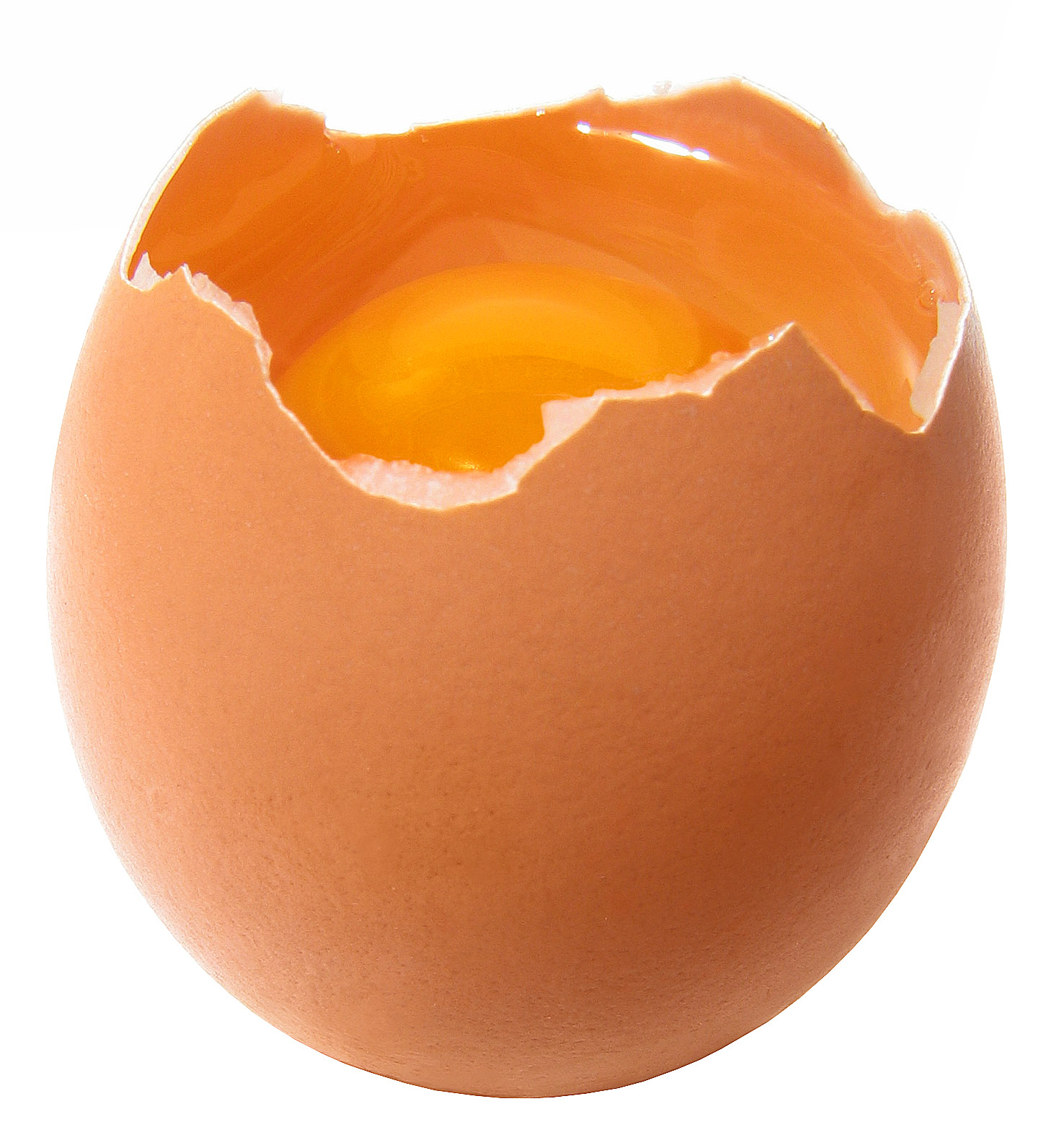 ترميم بيضه مكسوره Broken-egg