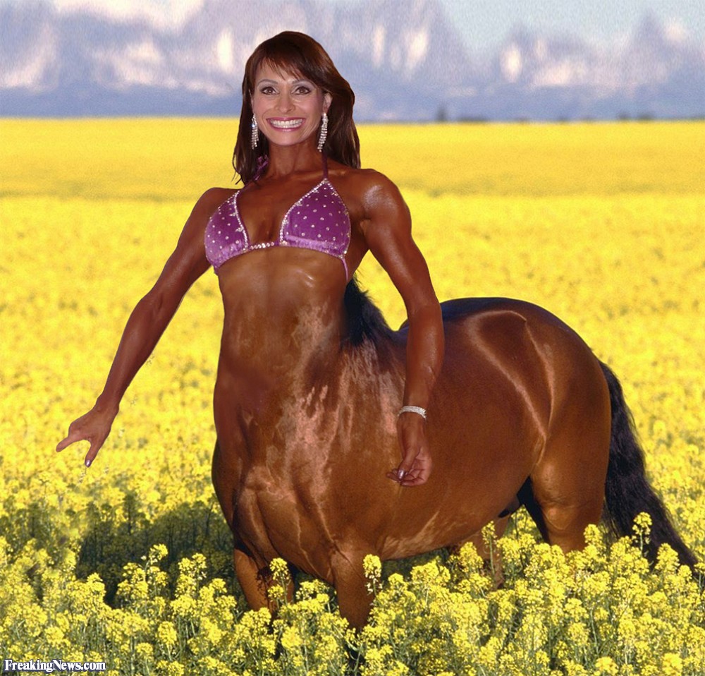 Guests can post images. Woman-Centaur-113983