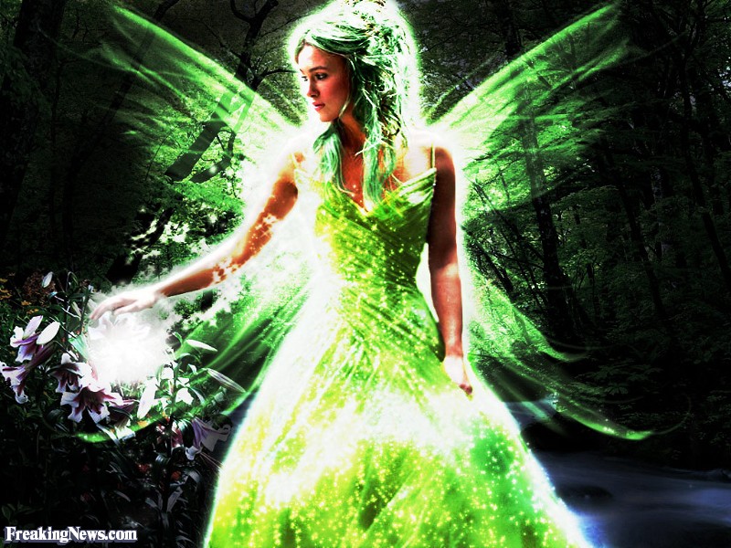 Post a pic of something GREEN. - Page 6 Green-Fairy--54739