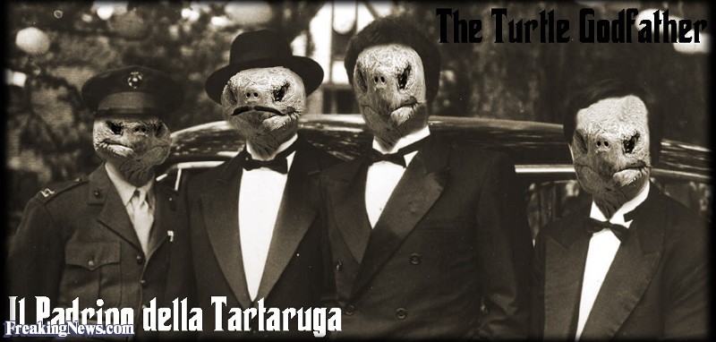 Dame una imagen Turtles-in-the-Godfather--86328