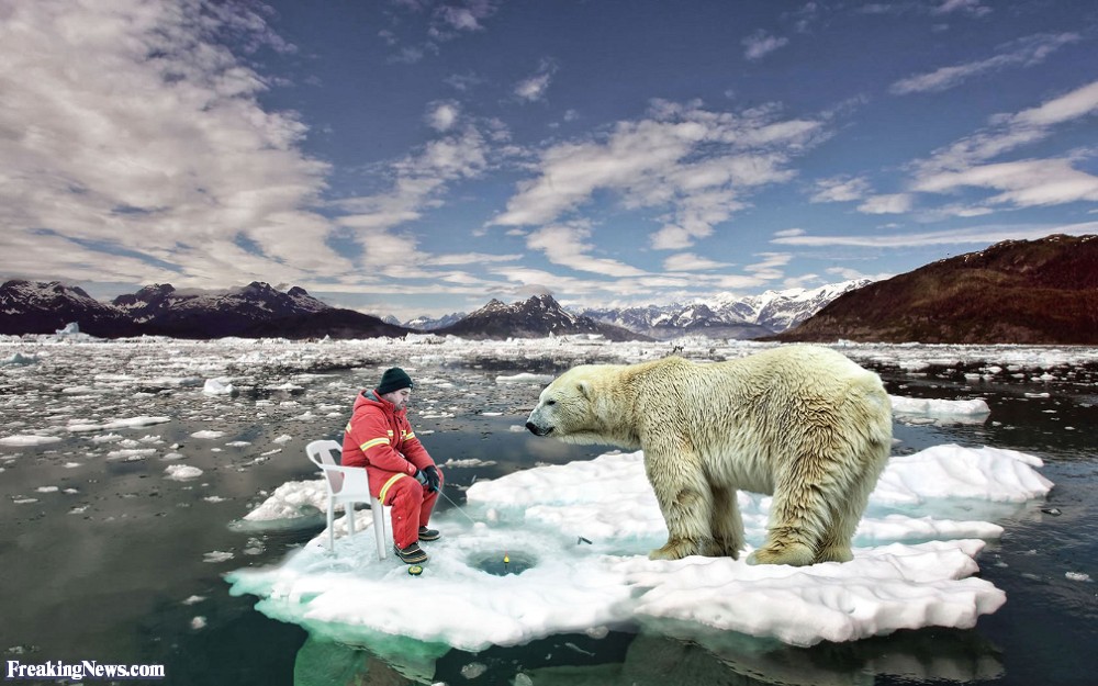 ice fishing Ice-Fishing-with-a-Polar-Bear-93811