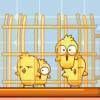 Chick Shower - Action Game