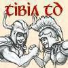 Tibia Online MMORPG Tower Defense