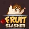 Fruit Slasher - Action Game - Aktions Spiel