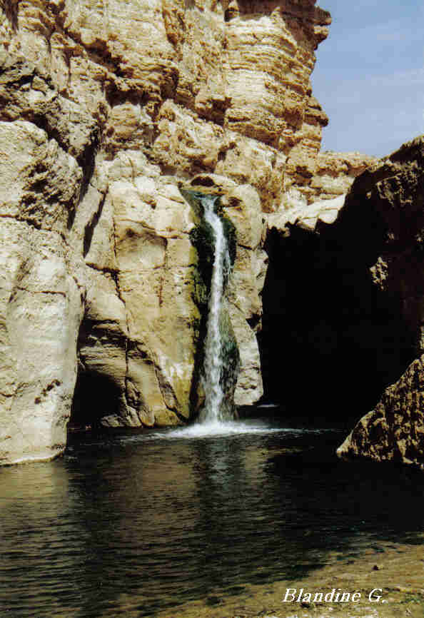 توزر جوهرة الصحراء Cascade