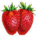 ### هل تعلم أن --- ### -------- Strawberries