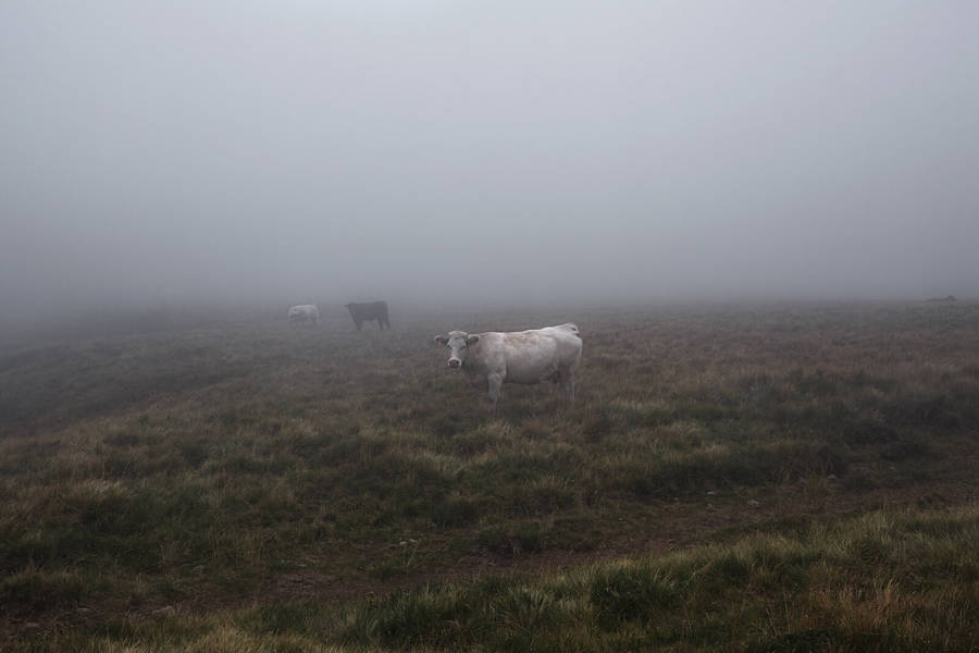 Poetic Pictures of Isolated Places without Human Presence ! By Léa (fubiz.com) Isolateplaces15-900x600