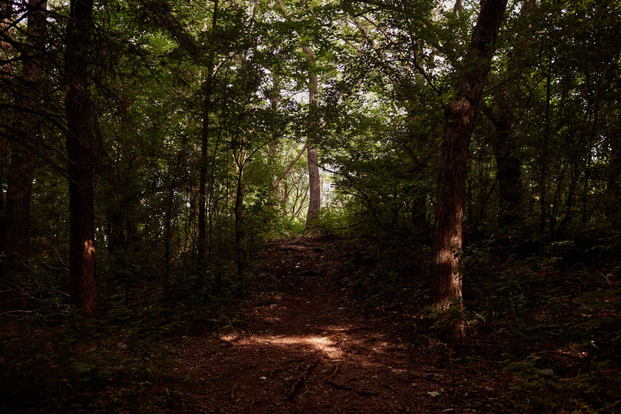 Poetic Pictures of Isolated Places without Human Presence ! By Léa (fubiz.com) Isolateplaces17-900x600