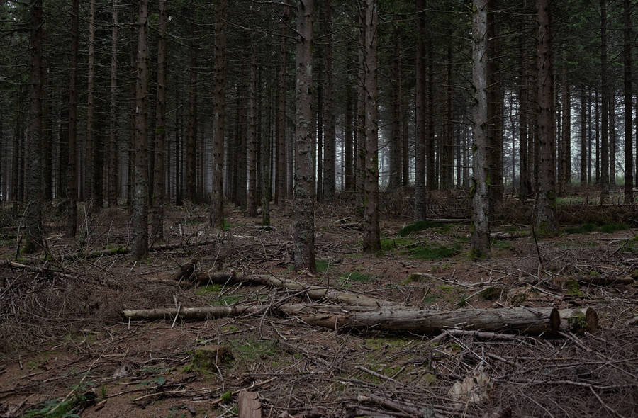 Poetic Pictures of Isolated Places without Human Presence ! By Léa (fubiz.com) Isolateplaces8-900x590