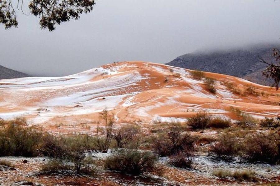 Sahara Desert Covered with Snow For the First Time Since 1979 ! By Hoel Sahara-Desert-Covered-with-Snow-For-the-First-Time-Since-1979-2-900x600