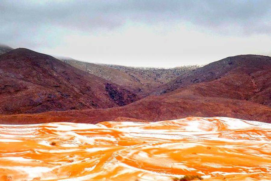 Sahara Desert Covered with Snow For the First Time Since 1979 ! By Hoel Sahara-Desert-Covered-with-Snow-For-the-First-Time-Since-1979-4-900x600