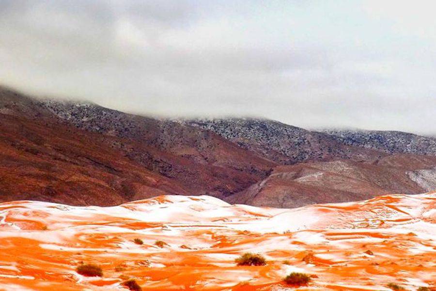 Sahara Desert Covered with Snow For the First Time Since 1979 ! By Hoel Sahara-Desert-Covered-with-Snow-For-the-First-Time-Since-1979-6-900x600