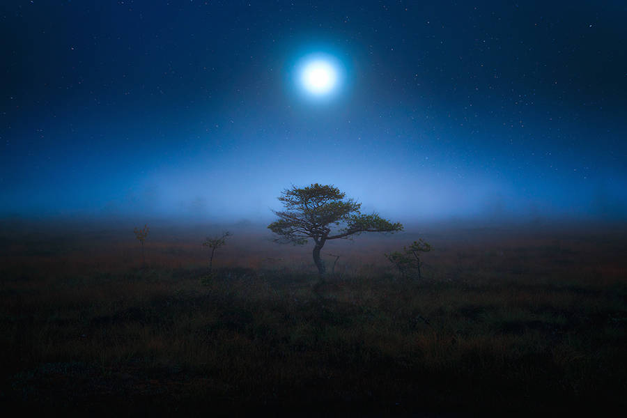 Incredible Full Moon Photo Series by Mika Suutari ! By Hoël Incredible-Full-Moon-Photo-Series-by-Mike-Suutari-4-1-900x600