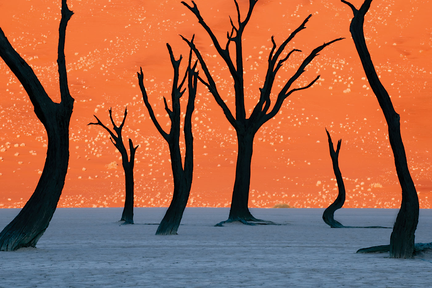 Colorful Photos of Namibia by Frank Lanting ! Written by Damien Frank-Lanting-fubiz1