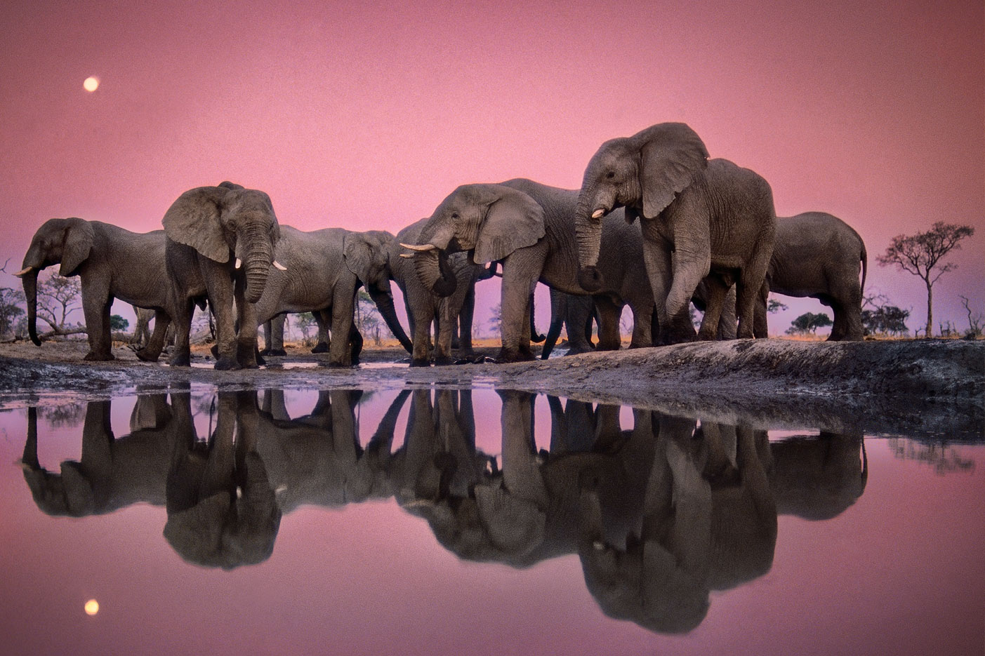 Colorful Photos of Namibia by Frank Lanting ! Written by Damien Frank-Lanting-fubiz4