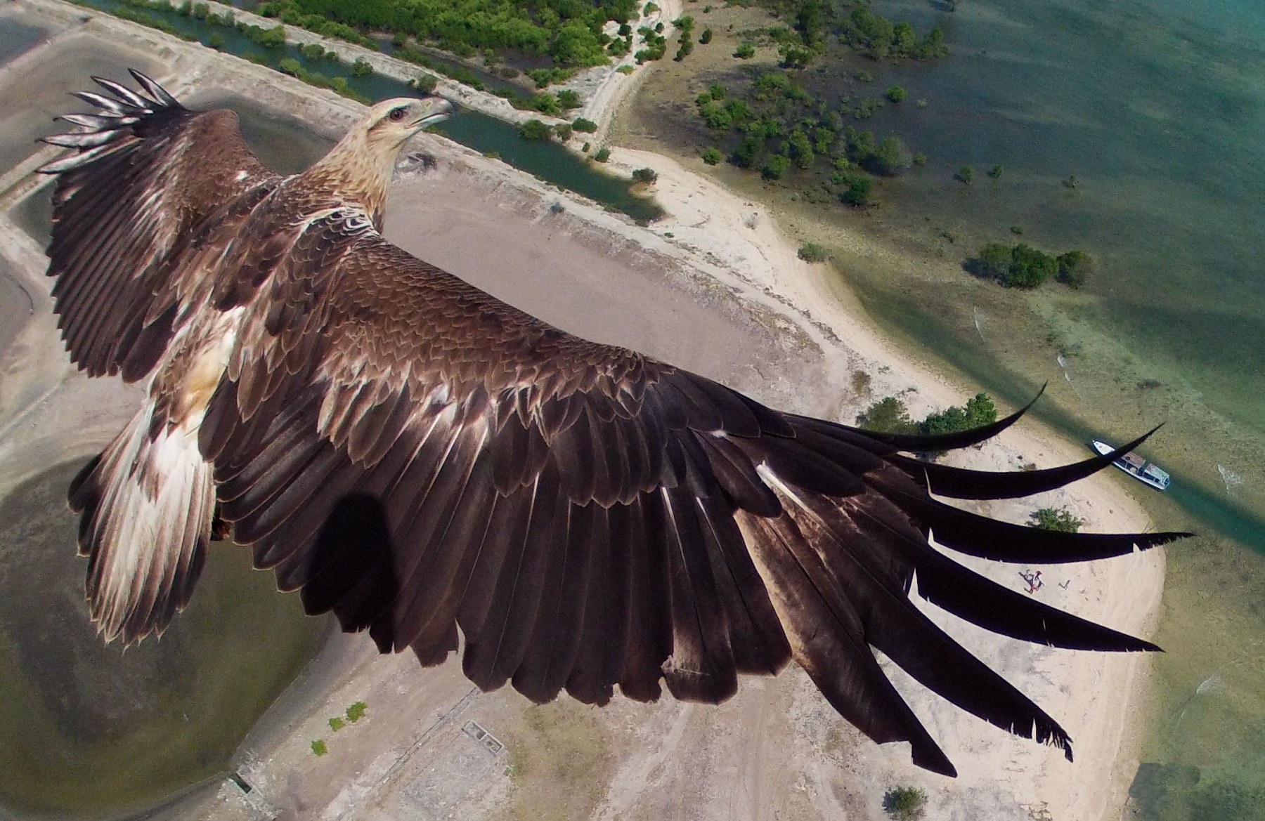 Amazing Drone Pictures Book ! By Costanza (Fubiz.net) Dronescapes6