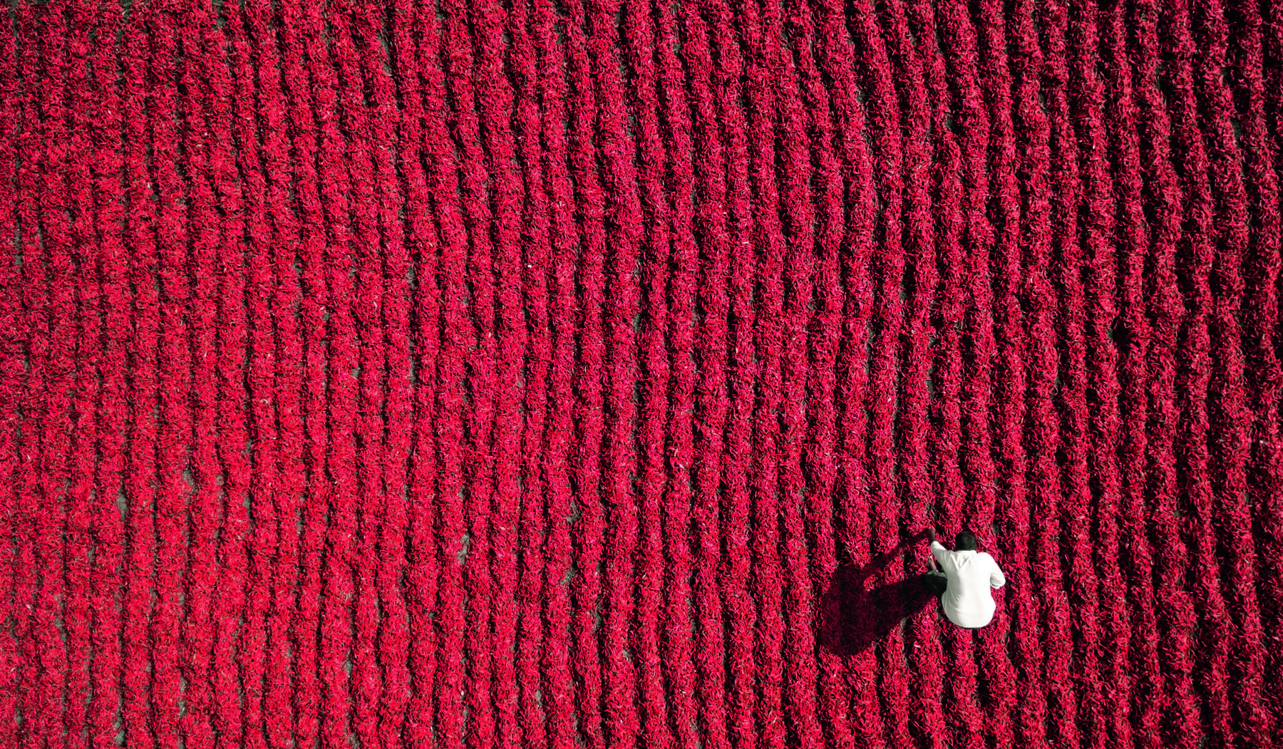 Amazing Drone Pictures Book ! By Costanza (Fubiz.net) Dronescapes7