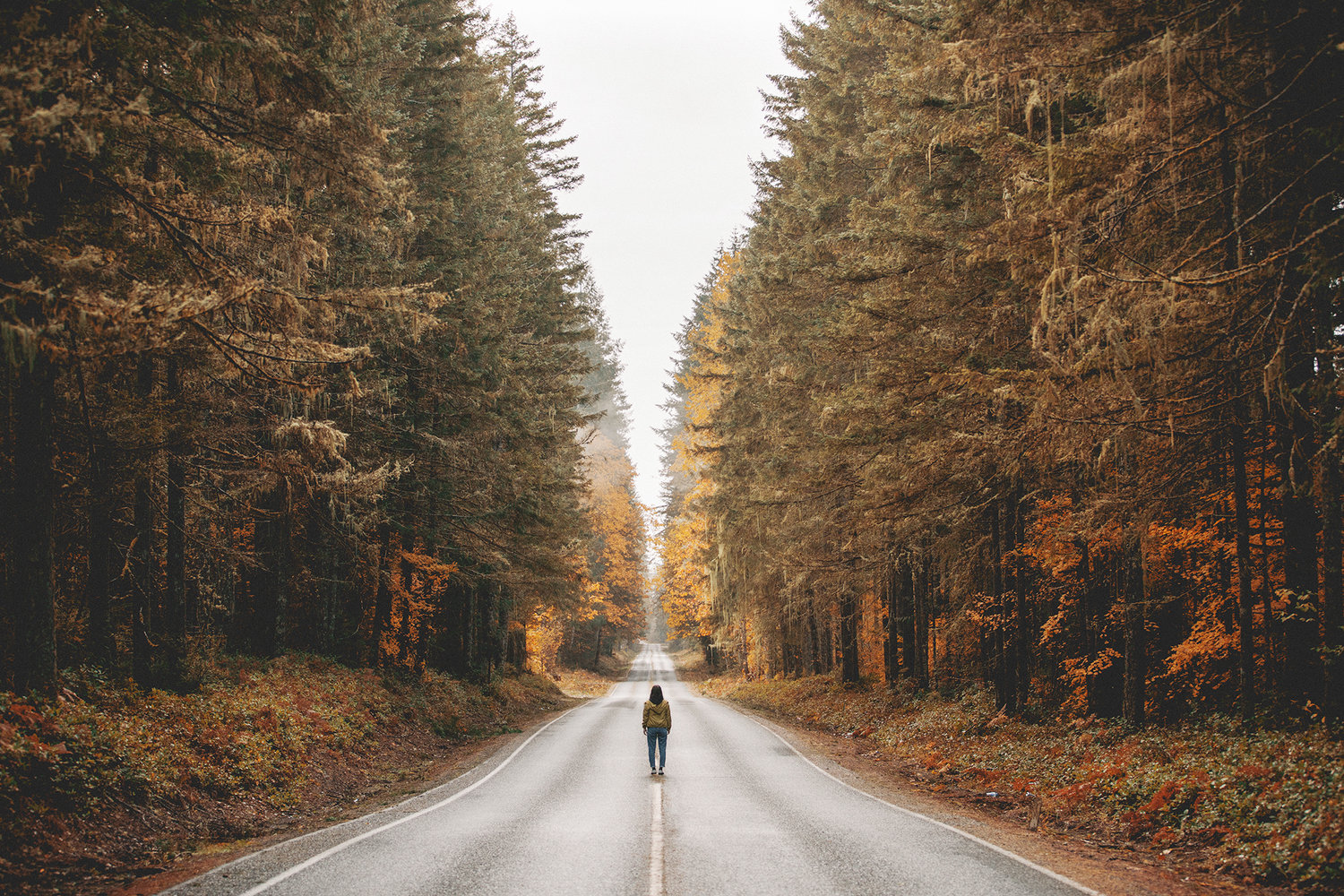 Breathtaking Landscapes from Around the World ! By Kala Fubiz-connor-surdi-photography-13