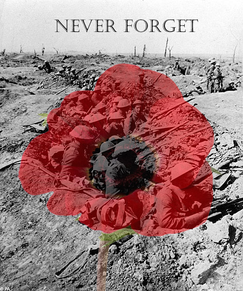 70 years today 6/6/44 Brave men hit the beaches  Remembrance_day___poppy_day_by_daliscar