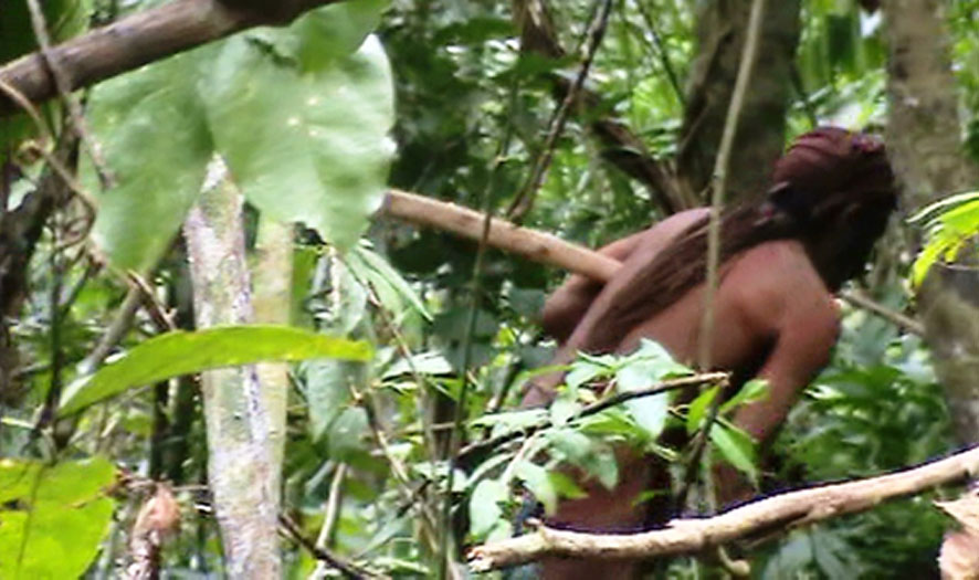 Cet homme qui vit seul en Amazonie depuis 22 ans est le dernier survivant de sa tribu ! Par Justine B. Tanaru