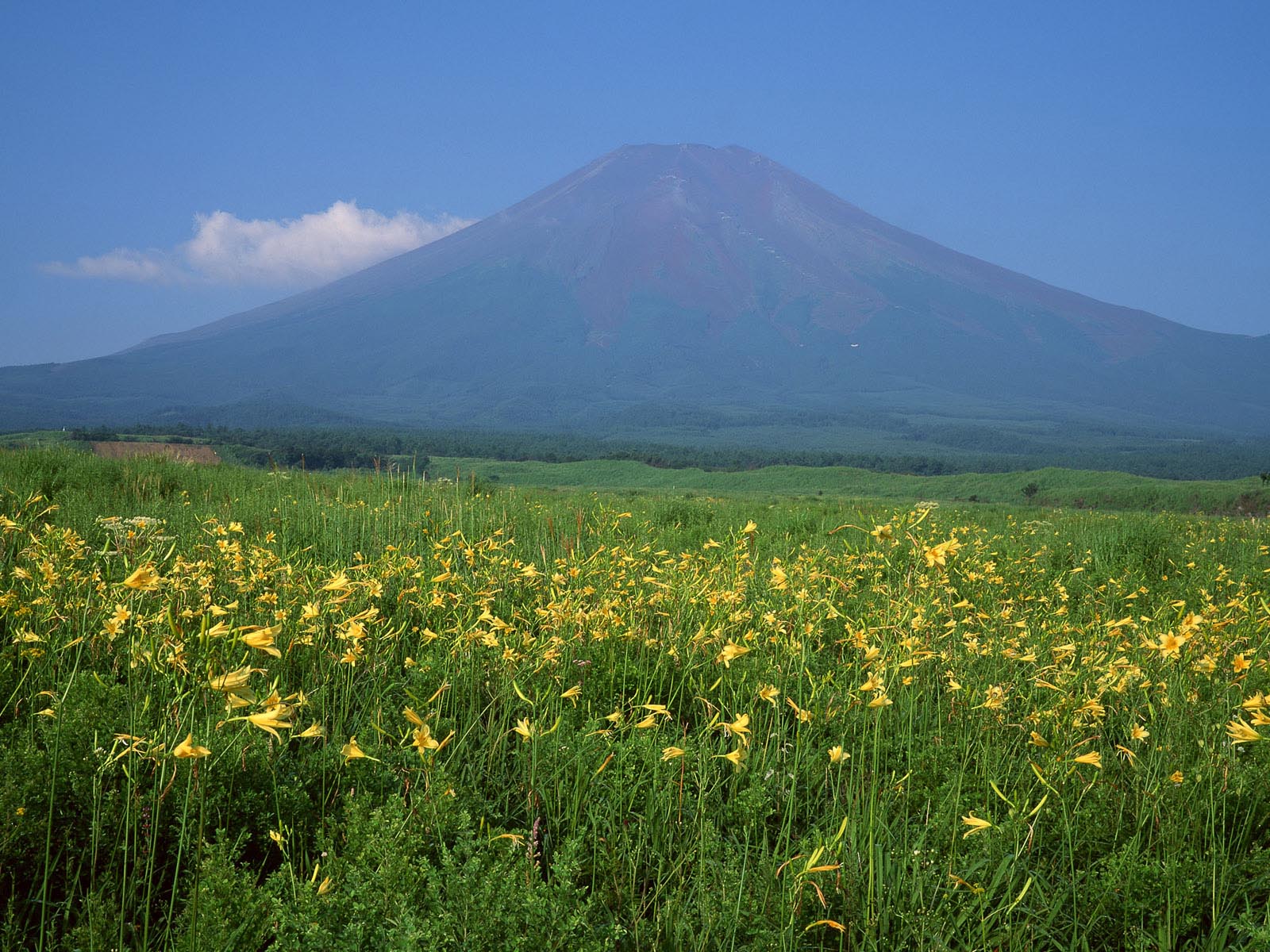 جبل فوجي Mount-fuji-wallpapers-11