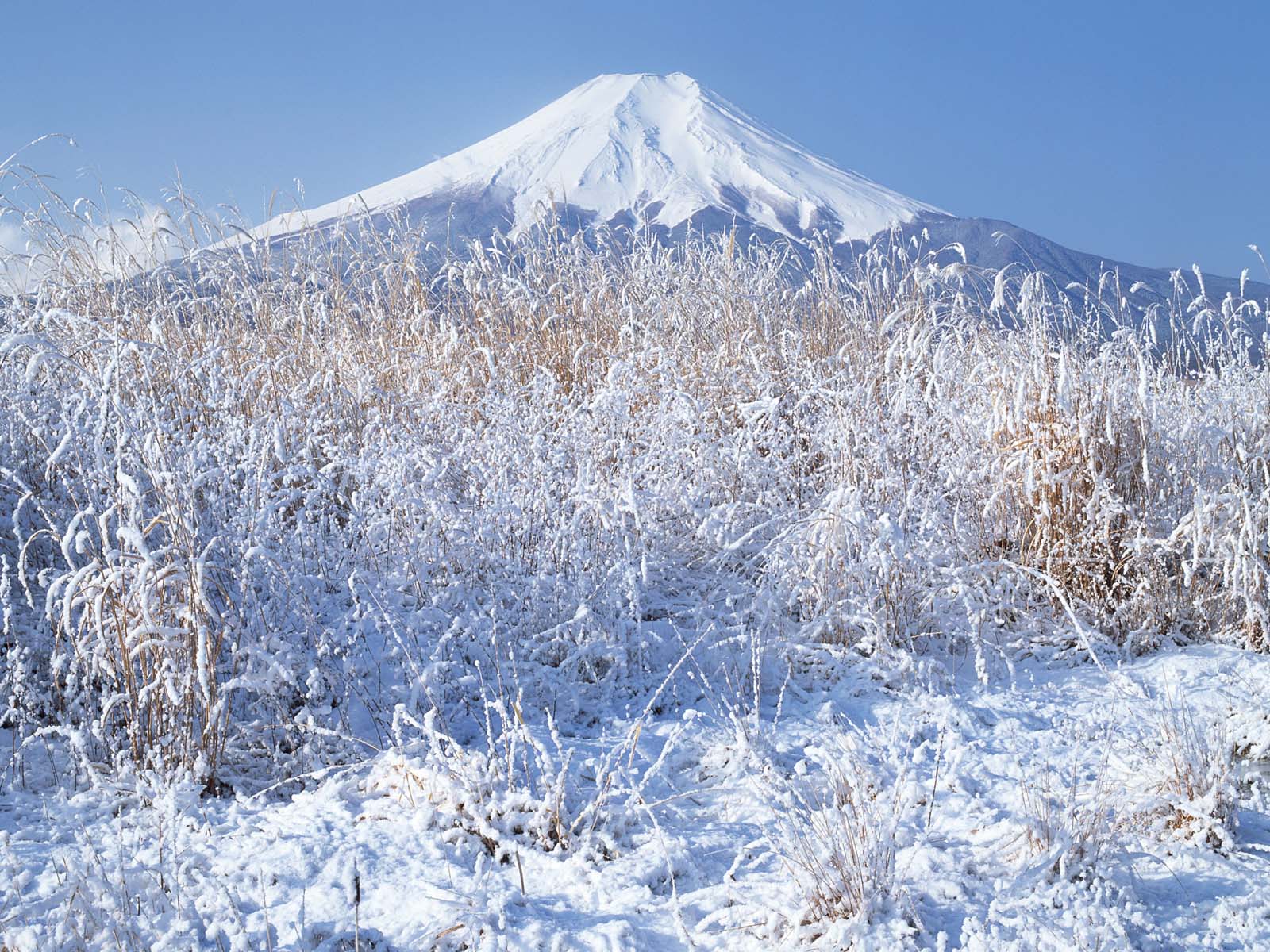 جبل فوجي Mount-fuji-wallpapers-14