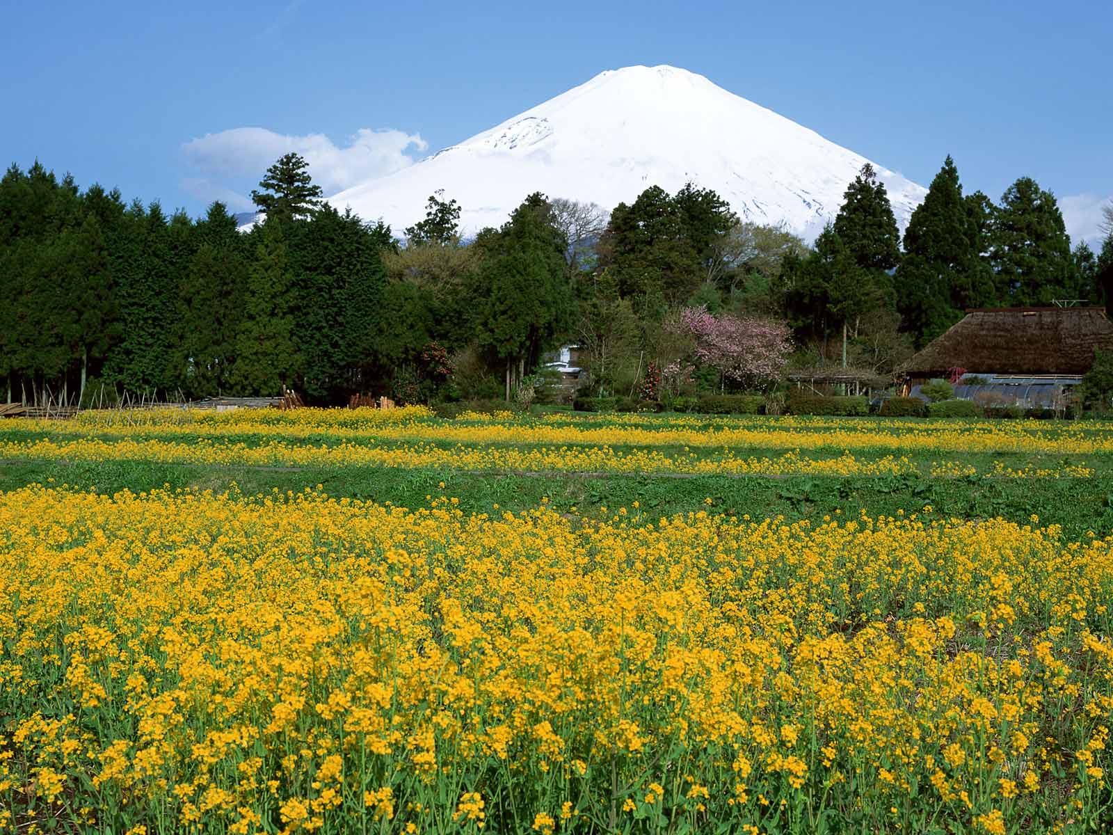 جبل فوجي Mount-fuji-wallpapers-18