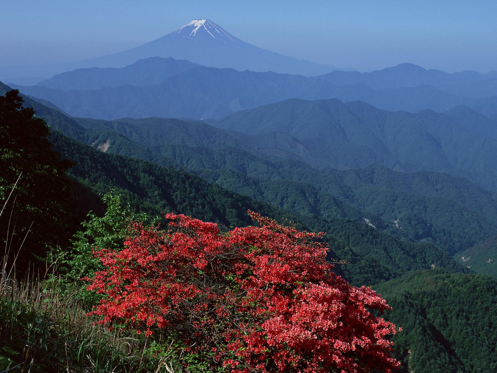 جبل فوجي Mount-fuji-wallpapers-4